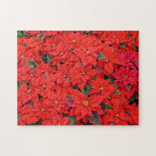 Rode Poinsettia's I Kerst Florale Foto Legpuzzel