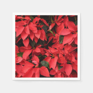Rode Poinsettia's II Kerst Florale Kerststukken Servet