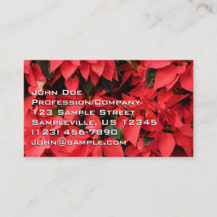 Rode Poinsettia's II Kerst Florale Visitekaartje