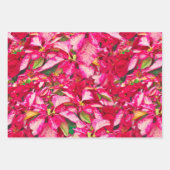 Rode Poinsettias Kerstmis Bloemen Patroon Inpakpapier Vel (Voorkant)