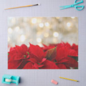 Rode Poinsettias met Glinsterende Gouden Lichten Tissuepapier (Craft)