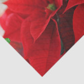 Rode Poinsettias met Glinsterende Gouden Lichten Tissuepapier (Detail)
