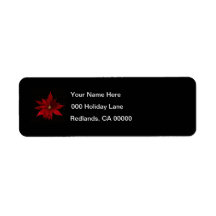 Rode Poinsettias op zwart