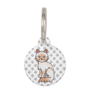 Rode Point Tabby Birman / Ragdoll Kat & Huisdier I Huisdierpenning