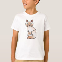 Rode Point Tabby Birman / Ragdoll Kat