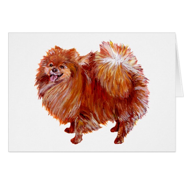 Rode Pomeranian (Voorkant Horizontaal)