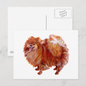 Rode Pomeranian Briefkaart (Voorkant / Achterkant)