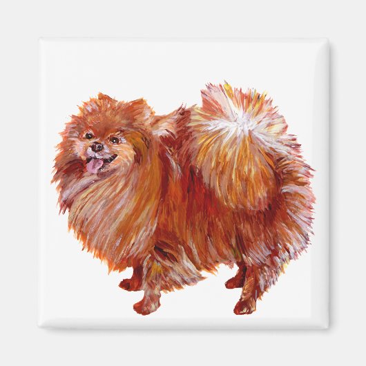 Rode Pomeranian Magneet (Voorkant)