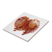 Rode Pomeranian Tegeltje (Zijkant)