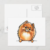 Rode pommeren omhoog briefkaart (Voorkant / Achterkant)