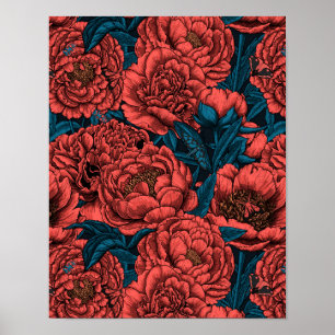 Rode pony-bloemen en -moten poster