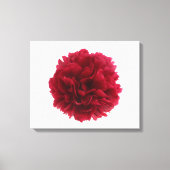 Rode pony canvas afdruk (Voorkant)