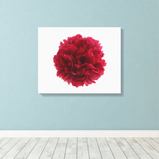 Rode pony canvas afdruk (Insitu (Houten vloer))