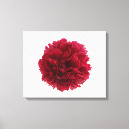 Rode pony canvas afdruk (Voorkant)