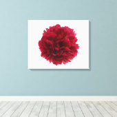 Rode pony canvas afdruk (Insitu (Houten vloer))