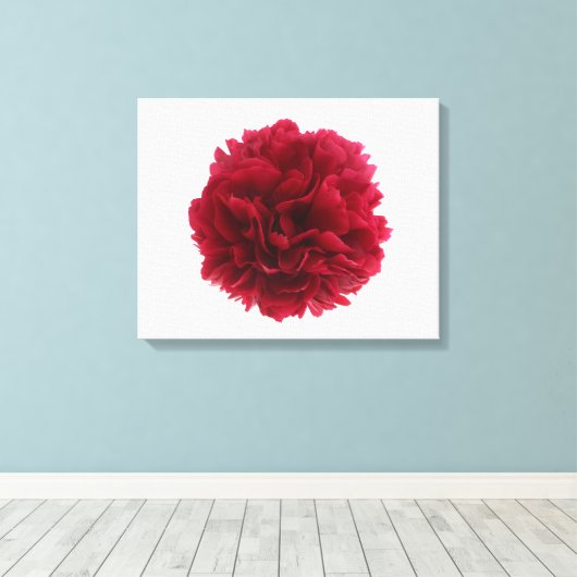 Rode pony canvas afdruk (Insitu (Houten vloer))