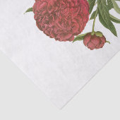  rode pony pony's #1 bloemen tissuepapier (Detail)