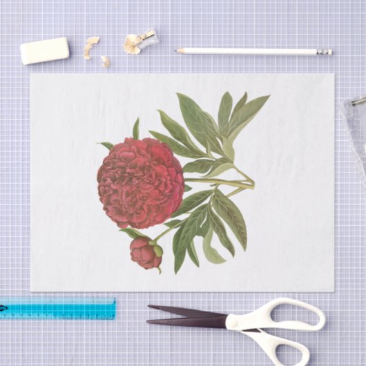  rode pony pony's #1 bloemen tissuepapier (Craft)