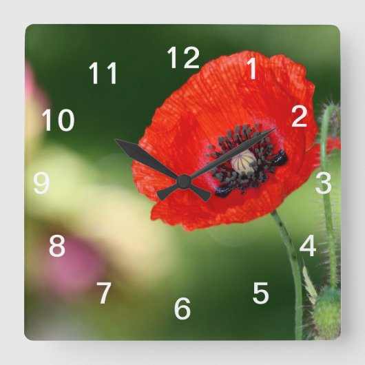 Rode poppie wandklok (Voorkant)