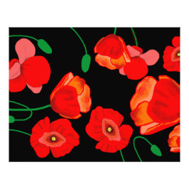 Rode poppies op zwarte achtergrondafbeelding foto afdruk