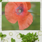 Rode Poppy Dish Handdoek (Gevouwen)