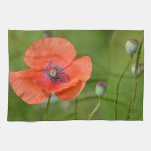 Rode Poppy Dish Handdoek
