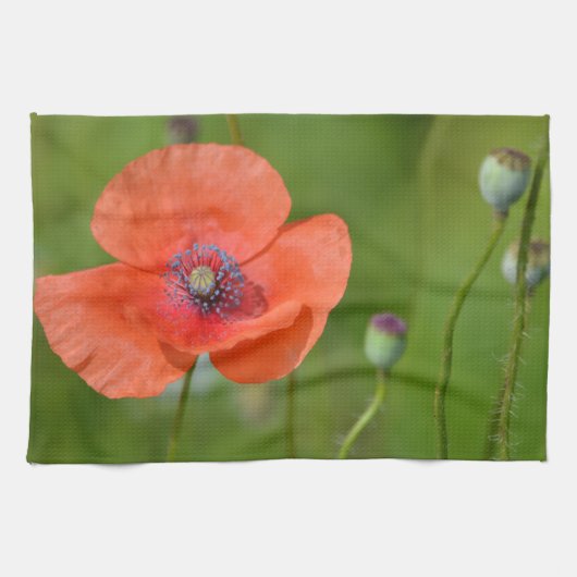 Rode Poppy Dish Handdoek (Horizontaal)