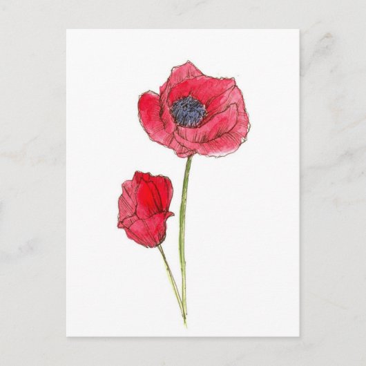 Rode Poppy Flower Waterverf Botanische Kunst Briefkaart (Voorkant)