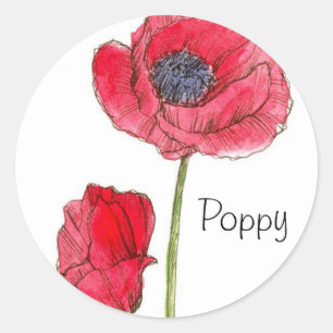 Rode Poppy Flower Waterverf Botanische Kunst Ronde Sticker