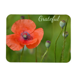  Rode Poppy Gratitude Magneet