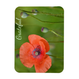  Rode Poppy Gratitude Magneet