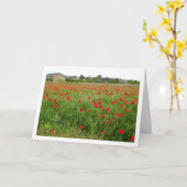 Rode Poppy Landscape Kaart (Gele Bloem)