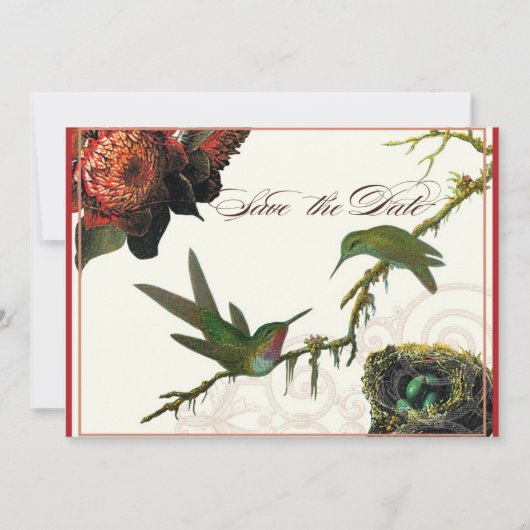 Rode Protea kolibries - Save the Date Kaart (Achterkant)
