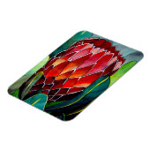 Rode Protheebloem voor waterverf Magneet (Linkerzijde)