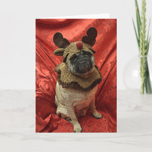 rode Pug van de Neus Feestdagen Kaart
