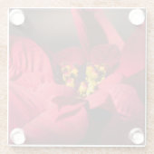 Rode punsettia kerstbloem glazen onderzetter (Achterkant)