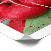 Rode radialen poster (Hoek)