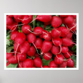 Rode radialen poster (Voorkant)