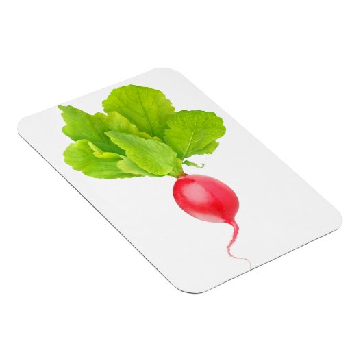 Rode radijs magneet (Rechterzijde)