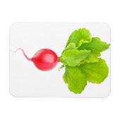 Rode radijs magneet (Horizontaal)