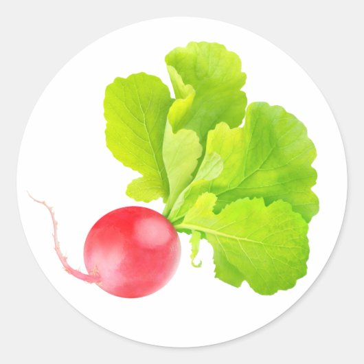 Rode radijs ronde sticker (Voorkant)