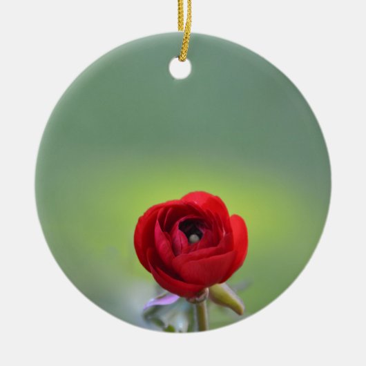 Rode Ranunculus Bloem Keramisch Ornament (Voorkant)