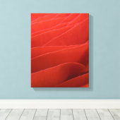 Rode Ranunculus Bloemblaadjes Canvas Afdruk (Insitu (Houten vloer))