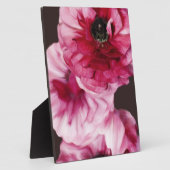 Rode Ranunculus Fotoplaat (Zijkant)