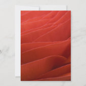 Rode Ranunculus Graduation Party Invitation Kaart (Achterkant)