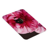 Rode Ranunculus Magneet (Rechterzijde)