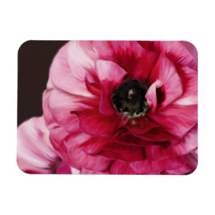 Rode Ranunculus Magneet
