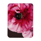 Rode Ranunculus Magneet (Verticaal)