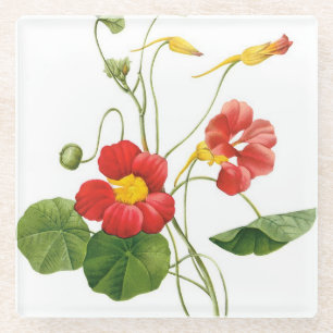 Rode Redoute Flowers Glass Onderzetter