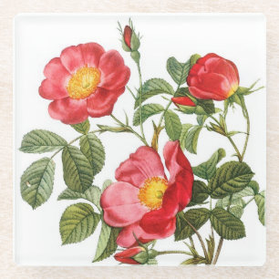 Rode Redoute Flowers Glass Onderzetter